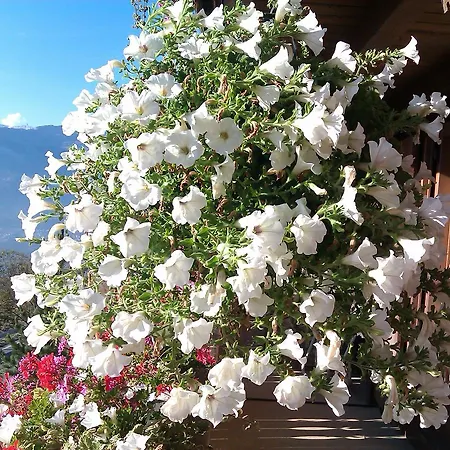 Hotel Superieur Winoka *