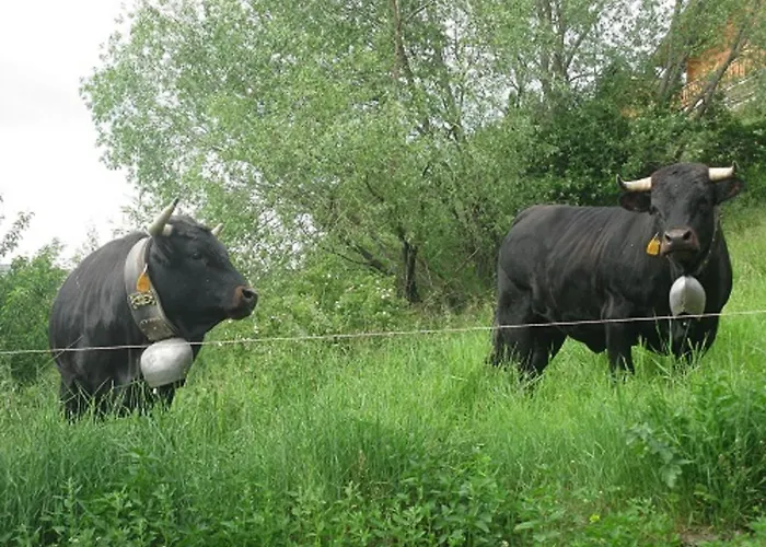 Superieur Winoka * Veysonnaz