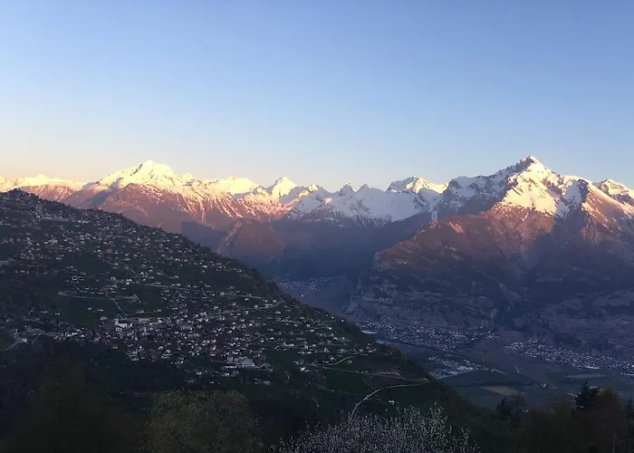 Hotel Superieur Winoka *