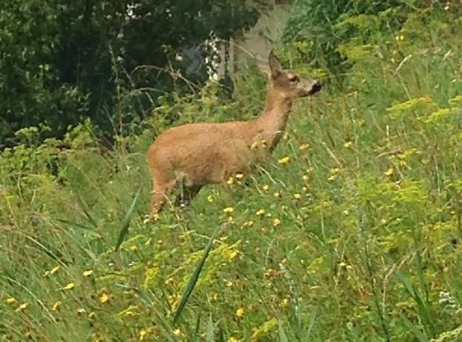 Hotel Superieur Winoka *