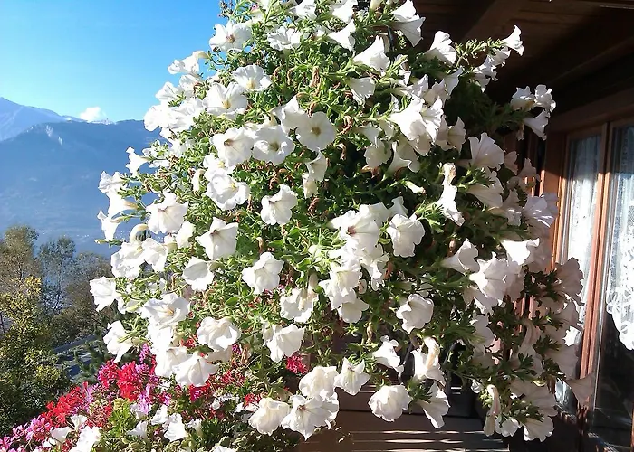 Hotel Superieur Winoka *