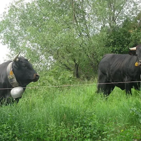 Superieur Winoka * Veysonnaz