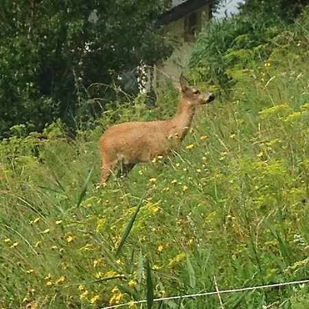 Otel Superieur Winoka *